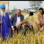 रूद्रपुर 11 नवम्बर, धान फसल की उत्पादकता जॉचने के लिए जिलाधिकारी उदयराज सिंह ने राजस्व विभाग की टीम के साथ तहसील रूद्रपुर के ग्राम अमरपुर के कृषक फुम्मन सिंह के खेत में धान फसल की क्रॅप कटिंग की